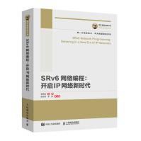 《国之重器出版工程SRv6网络编程：开启IP网络新时代》[42M]百度网盘|亲测有效|pdf下载