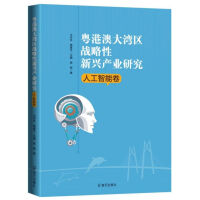 《粤港澳大湾区战略性新兴产业研究(人工智能卷)》[53M]百度网盘|亲测有效|pdf下载