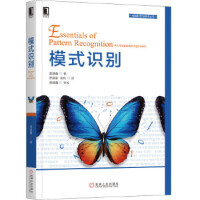 《智能科学与技术丛书：模式识别 吴建鑫 9787111643890》[53M]百度网盘|亲测有效|pdf下载