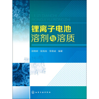 《锂离子电池溶剂与溶质》[26M]百度网盘|亲测有效|pdf下载