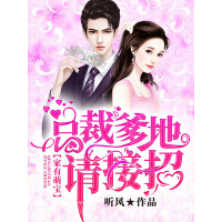 《家有萌宝：总裁爹地请接招》[31M]百度网盘|亲测有效|pdf下载