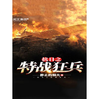 《抗日之特战狂兵（三）》[36M]百度网盘|亲测有效|pdf下载