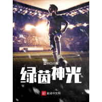 《绿茵神光》[50M]百度网盘|亲测有效|pdf下载