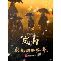《成为系统的那些年》[44M]百度网盘|亲测有效|pdf下载