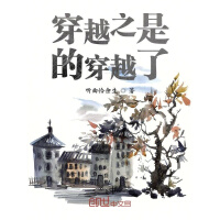 《穿越之是的穿越了》[41M]百度网盘|亲测有效|pdf下载