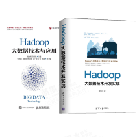 《包邮 Hadoop全2本 Hadoop大数据技术与应用+大数据技术开发实战书籍》[47M]百度网盘|亲测有效|pdf下载