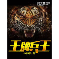 《王牌兵王（八）》[51M]百度网盘|亲测有效|pdf下载