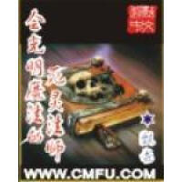 《会光明魔法的死灵法师》[22M]百度网盘|亲测有效|pdf下载