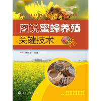 《图说蜜蜂养殖关键技术》[28M]百度网盘|亲测有效|pdf下载