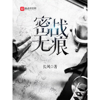 《密战无痕》[46M]百度网盘|亲测有效|pdf下载