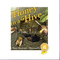 《英文原版 Honey in a Hive 蜂房里的蜜蜂 分级读物L2 小花生推荐 自然》[49M]百度网盘|亲测有效|pdf下载