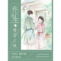 《乔先生，情深不晚》[42M]百度网盘|亲测有效|pdf下载