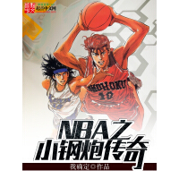 《NBA之小钢炮传奇》[54M]百度网盘|亲测有效|pdf下载