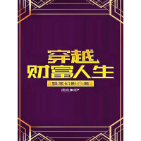《穿越财富人生（六）》[32M]百度网盘|亲测有效|pdf下载