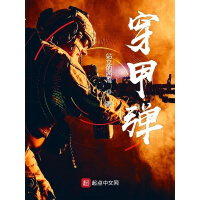《穿甲弹》[40M]百度网盘|亲测有效|pdf下载