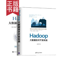 《2本包邮  Hadoop Hadoop大数据技术与应用+大数据技术开发实战书籍》[55M]百度网盘|亲测有效|pdf下载