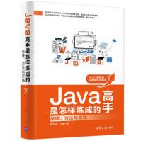 《Java高手是怎样炼成的:原理.方法与实践》[40M]百度网盘|亲测有效|pdf下载