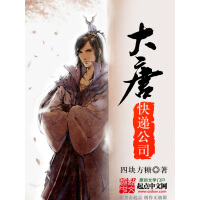 《大唐快递公司》[55M]百度网盘|亲测有效|pdf下载
