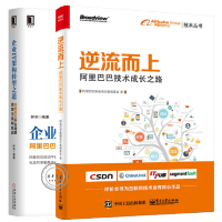 《2册 逆流而上：技术成长之路+企业IT架构转型之道中台战略思想与架构实》[26M]百度网盘|亲测有效|pdf下载