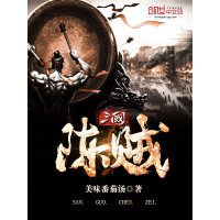 《三国陈贼》[45M]百度网盘|亲测有效|pdf下载