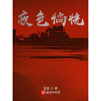 《夜色惝恍》[57M]百度网盘|亲测有效|pdf下载