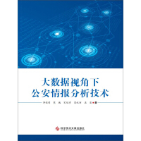 《大数据视角下公安情报分析技术》[46M]百度网盘|亲测有效|pdf下载
