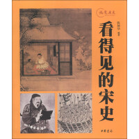 《视觉历史：看得见的宋史》[48M]百度网盘|亲测有效|pdf下载