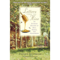 《Letters from the Hive: An Intimate》[25M]百度网盘|亲测有效|pdf下载