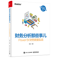 《财务分析那些事儿：PowerBI财务数据实战》[22M]百度网盘|亲测有效|pdf下载