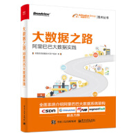 《大数据之路:大数据实践》[21M]百度网盘|亲测有效|pdf下载