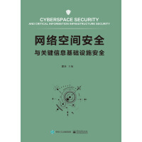 《网络空间安全与关键信息基础设施安全》[29M]百度网盘|亲测有效|pdf下载