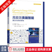 《高能效类脑智能:算法与体系架构郑楠》[48M]百度网盘|亲测有效|pdf下载
