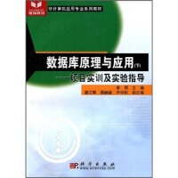 《非计算机应用专业系列教材·数据库原理与应用：项目实训及实验指导》[47M]百度网盘|亲测有效|pdf下载