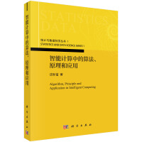 《智能计算中的算法、原理和应用》[34M]百度网盘|亲测有效|pdf下载