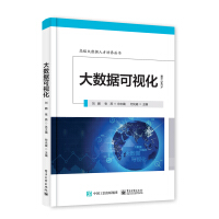 《大数据可视化——高级大数据人才培养丛书》[41M]百度网盘|亲测有效|pdf下载
