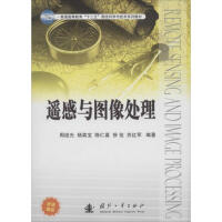 《遥感与图像处理》[43M]百度网盘|亲测有效|pdf下载