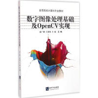 《数字图像处理基础及OpenCV实现》[41M]百度网盘|亲测有效|pdf下载