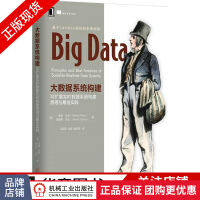 《大数据系统构建：可扩展实时数据系统构建原理与最佳实践》[31M]百度网盘|亲测有效|pdf下载