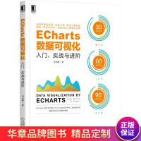 《ECharts数据可视化:入门、实战与进阶王大伟》[24M]百度网盘|亲测有效|pdf下载