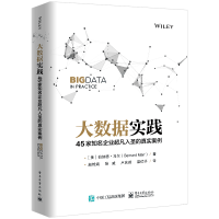 《大数据实践：家知名企业超凡入圣的真实案例》[53M]百度网盘|亲测有效|pdf下载